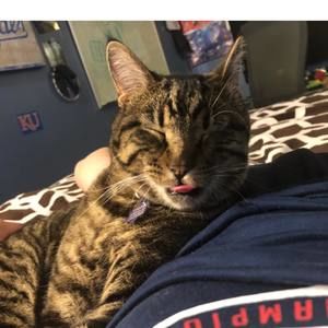 Meet your Posher, Ian